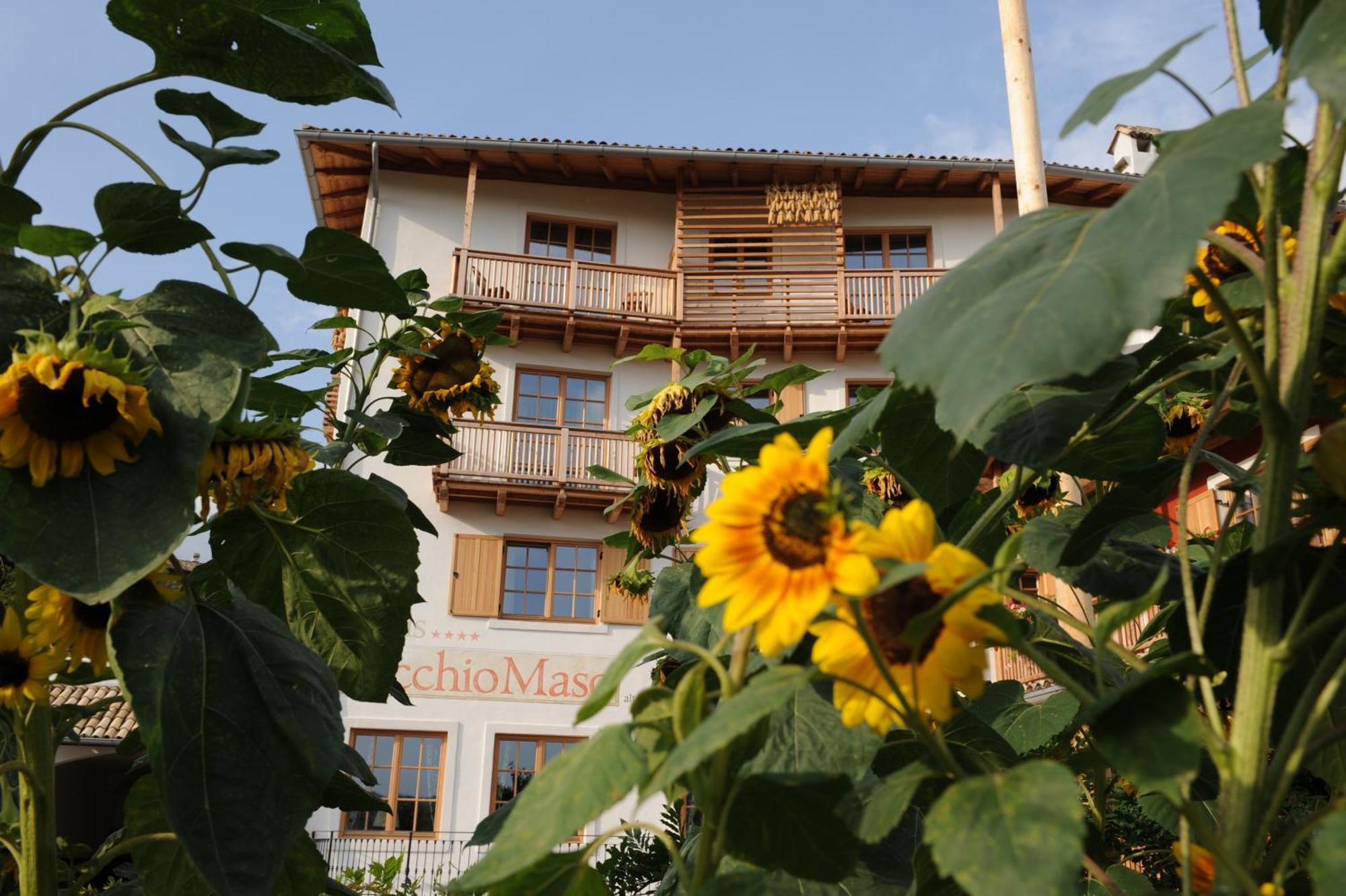Hotel Relais Vecchio Maso Sopramonte 외부 사진